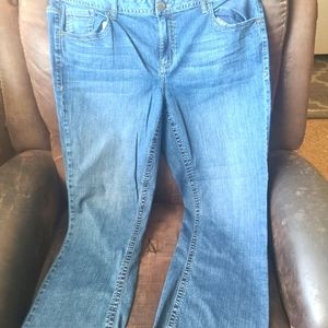 Lane bryant jeans